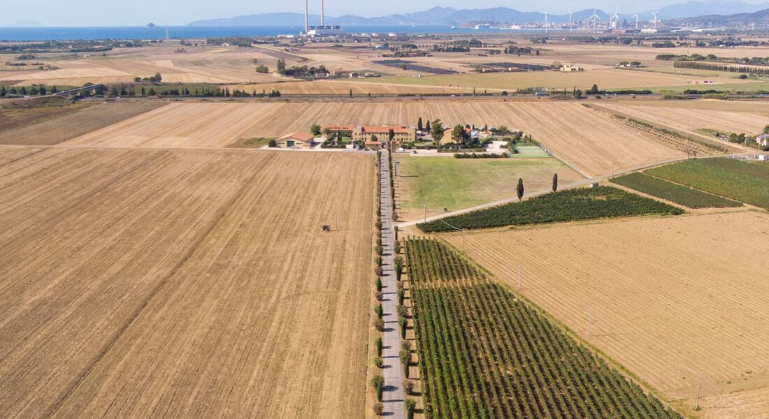 Aprimorando a gestão de vendas de produtos agrícolas: Como um CRM especializado pode ajudar