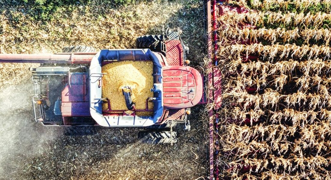 Como melhorar o atendimento ao cliente no Agronegócio?