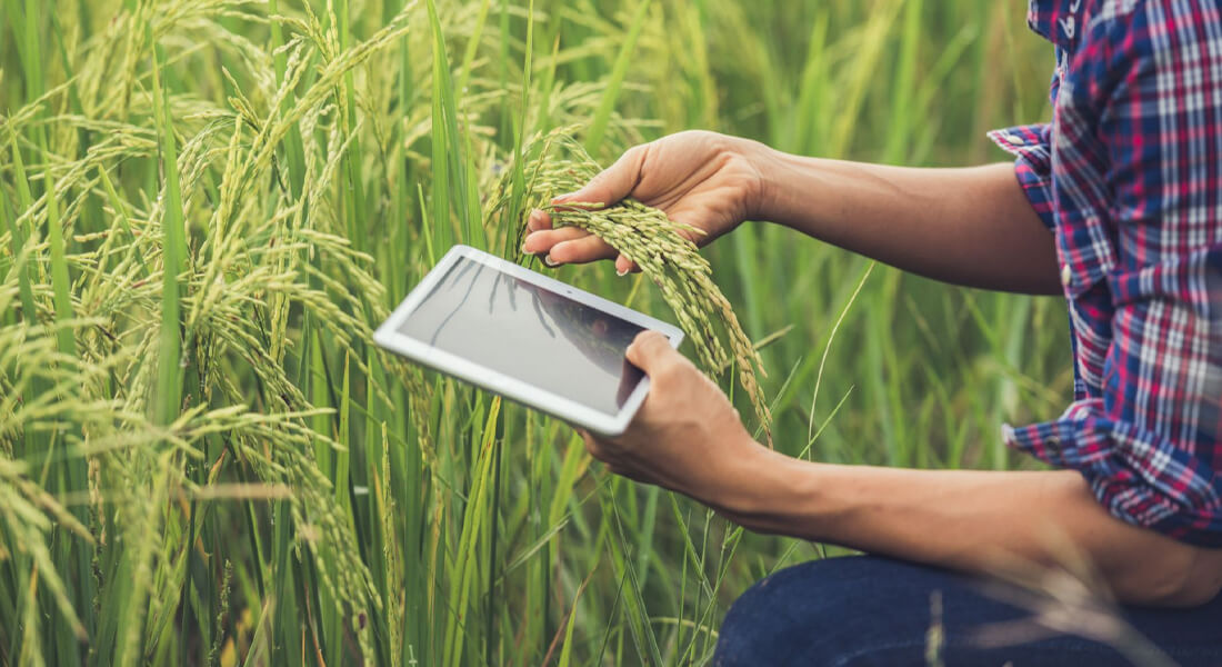 Gestão de Relacionamento com o Cliente: O segredo para conquistar e fidelizar clientes no mercado agrícola