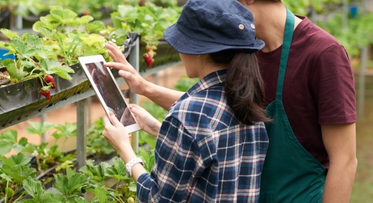 Impulsionando a produtividade no campo: Os benefícios do CRM na gestão de equipes agrícolas