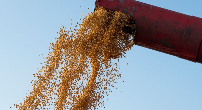 Maximizando a eficiência na cadeia de suprimentos agrícolas: O papel do CRM