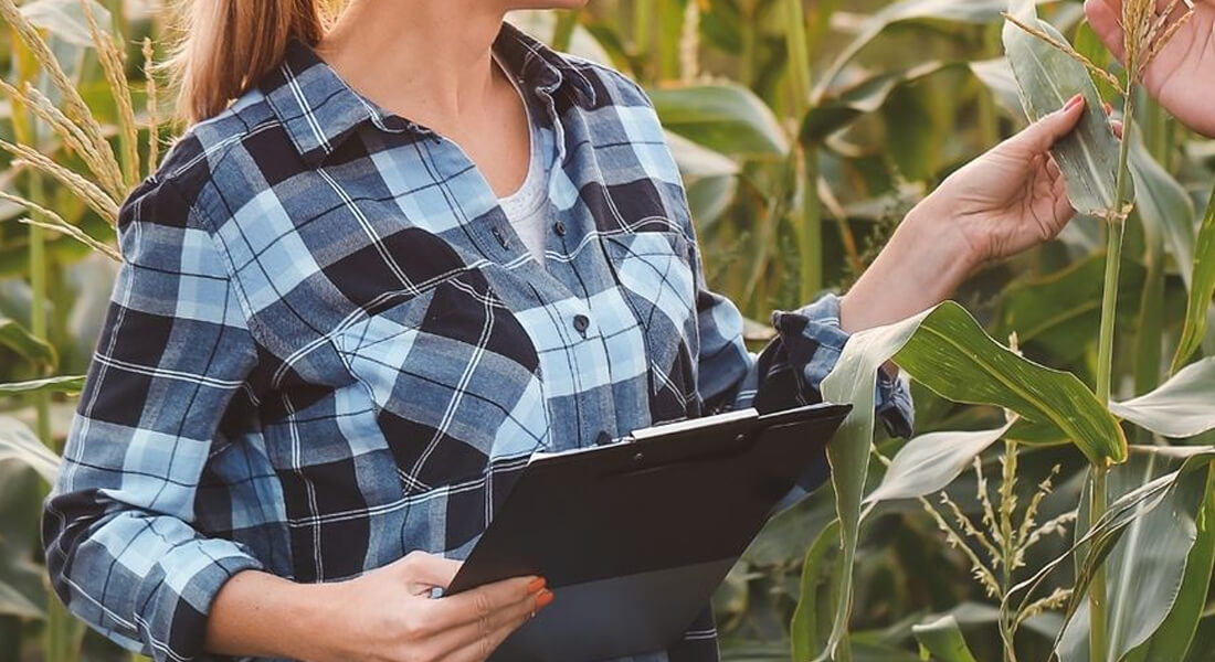 Visitas técnicas no agronegócio: como fazer mais com menos