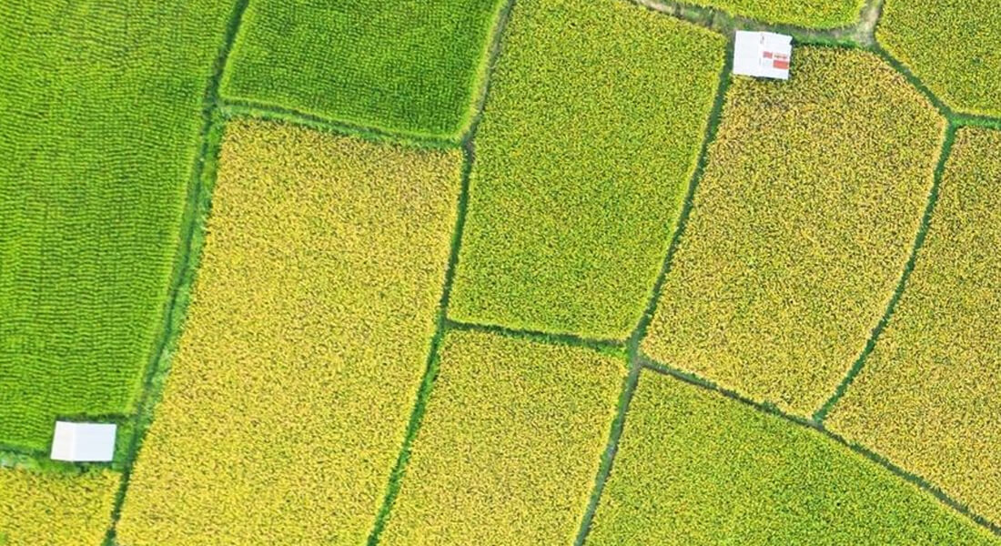 Workflow de aprovação no agronegócio: como otimizar seus processos com um CRM